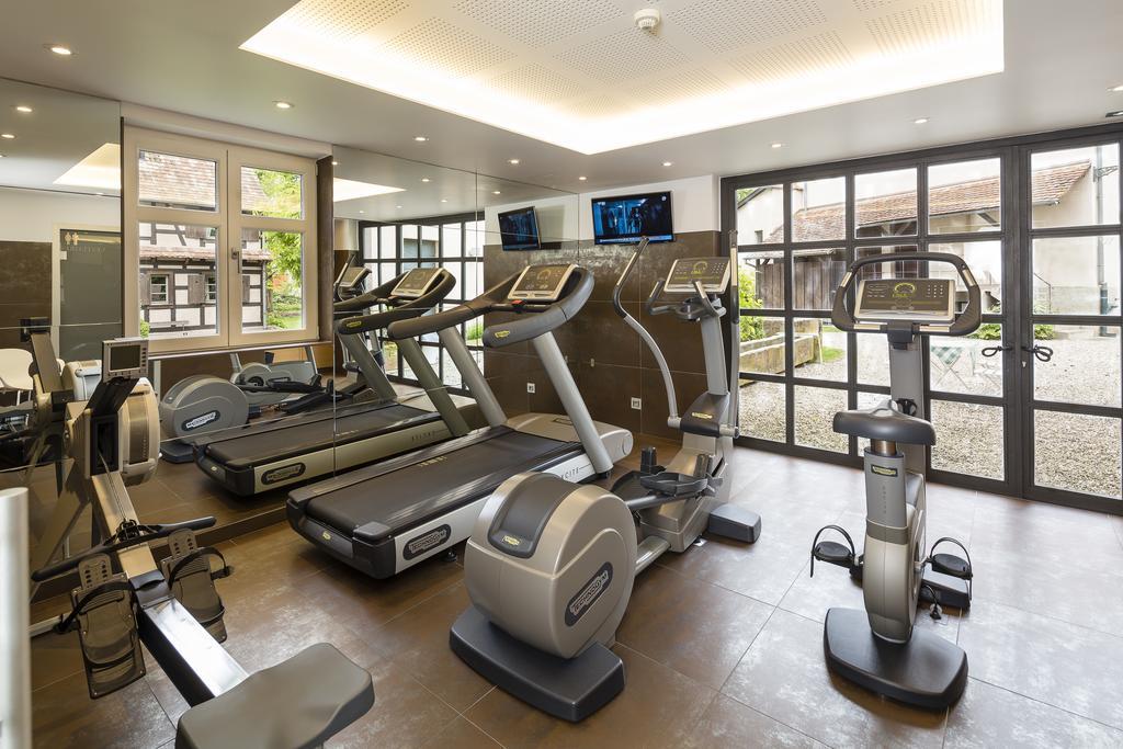 Hotel Restaurant De L'Illwald Selestat Ngoại thất bức ảnh